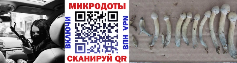 Галлюциногенные грибы прущие грибы Гаджиево