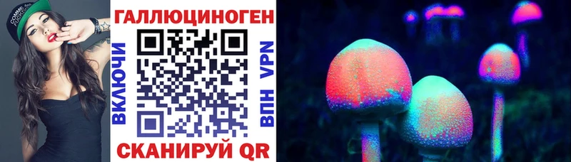 Псилоцибиновые грибы Cubensis  Гаджиево 